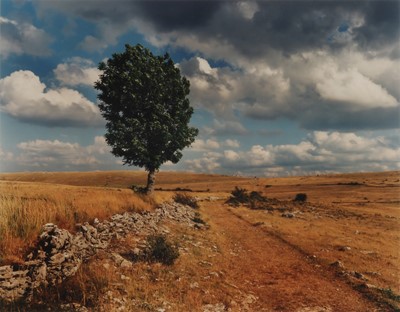 Lot 299 - The Agfa Collection, 1991-1996