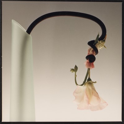 Lot 138 - Cay Lang (b.1948)