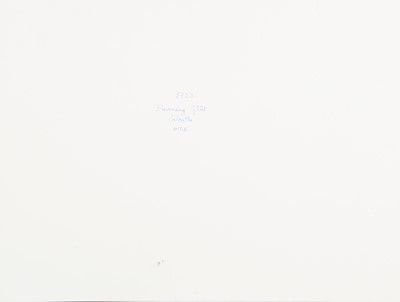 Lot 61 - Unknown Photographer (XIX cent.)