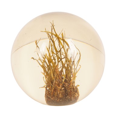 Lot 235 - The Axa Final Ball