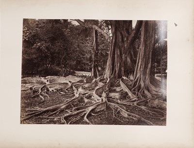 Lot 81 - Scowen &Co (active 1870s-1890s), Samuel Bourne (1834-1912), and others