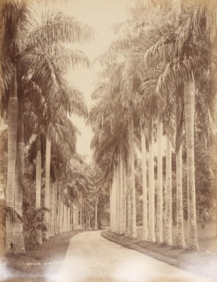 Lot 81 - Scowen &Co (active 1870s-1890s), Samuel Bourne (1834-1912), and others