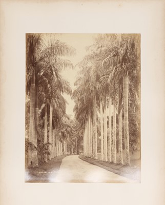 Lot 81 - Scowen &Co (active 1870s-1890s), Samuel Bourne (1834-1912), and others