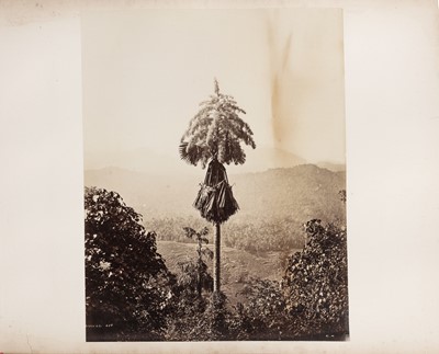 Lot 81 - Scowen &Co (active 1870s-1890s), Samuel Bourne (1834-1912), and others