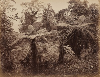 Lot 81 - Scowen &Co (active 1870s-1890s), Samuel Bourne (1834-1912), and others