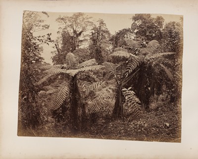 Lot 81 - Scowen &Co (active 1870s-1890s), Samuel Bourne (1834-1912), and others