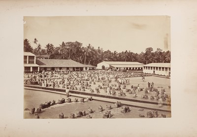 Lot 81 - Scowen &Co (active 1870s-1890s), Samuel Bourne (1834-1912), and others