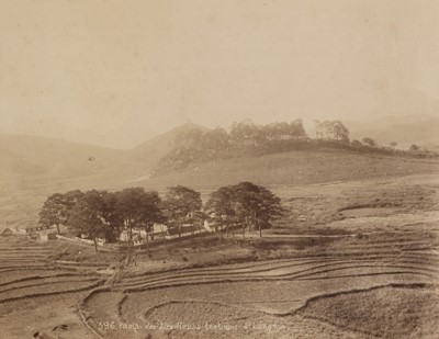 Lot 39 - Skeen &Co (active 1860-1920), Pierre Dieulefils (1862-1937), and others