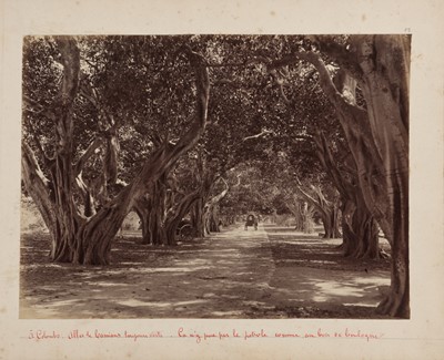 Lot 39 - Skeen &Co (active 1860-1920), Pierre Dieulefils (1862-1937), and others