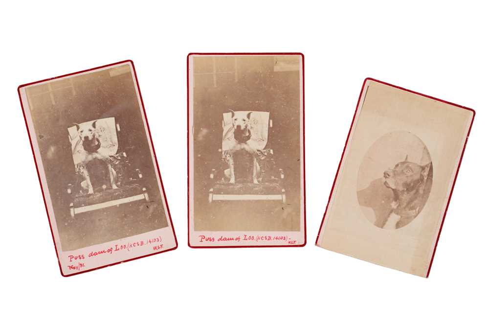 Lot 16 - Charles T. Scowen (1852-1948), and others