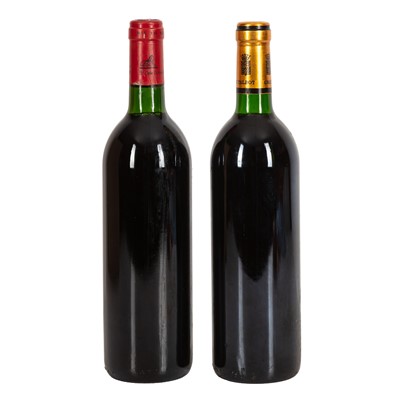 Lot 41 - Bordeaux Duo - 2 bottles