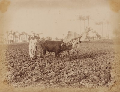Lot 41 - Hyppolyte Arnoux (active 1860s-1880s), Pascal Sébah (1823-1886), and others