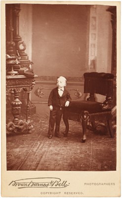 Lot 15 - Brown, Barnes & Bell (active 1881-1886)