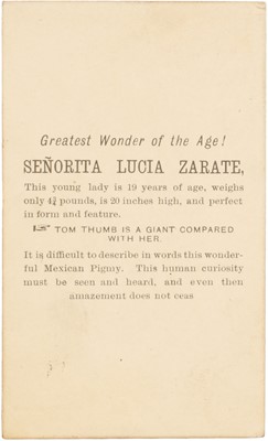 Lot 15 - Brown, Barnes & Bell (active 1881-1886)