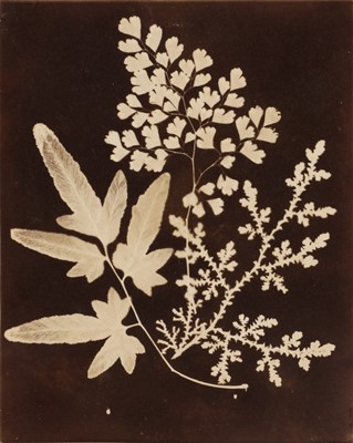 Lot 85 - Unknown Photographer (XIX cent.)