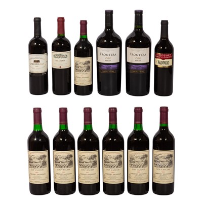 Lot 114 - Mixed Chilean Wines - 12 bottles