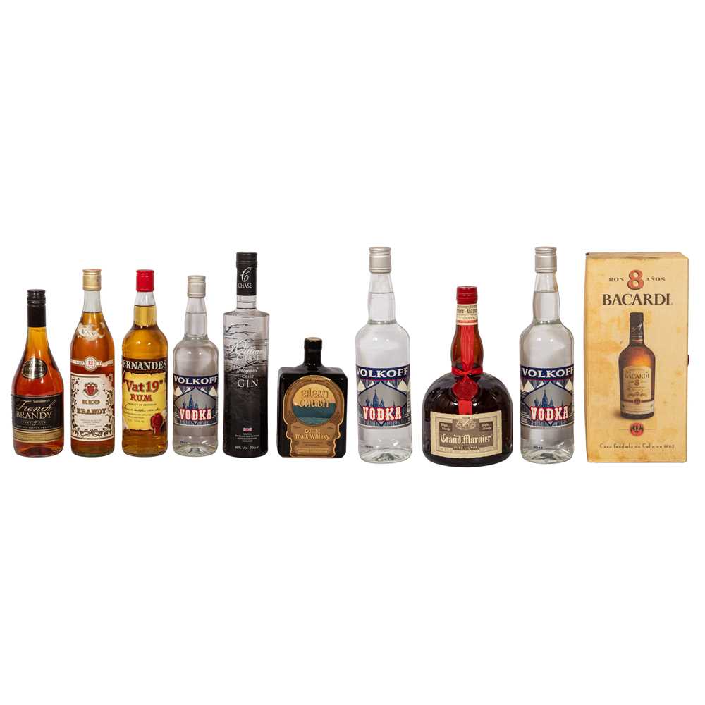 Lot 194 - Assorted Spirits - 10 bottles