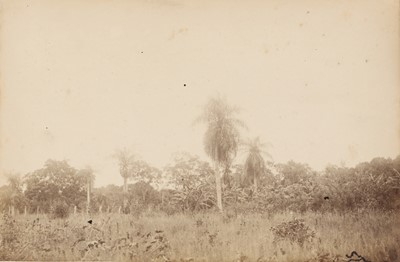 Lot 73 - Travel Interest
