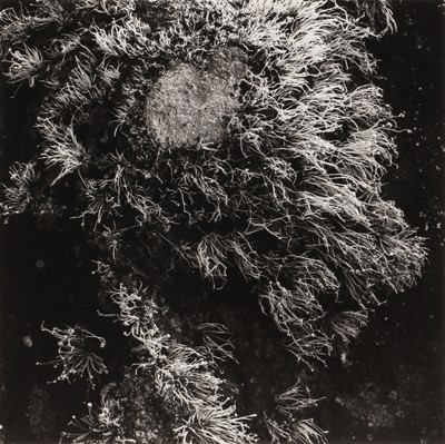 Lot 129 - Fay Godwin (1931-2005)