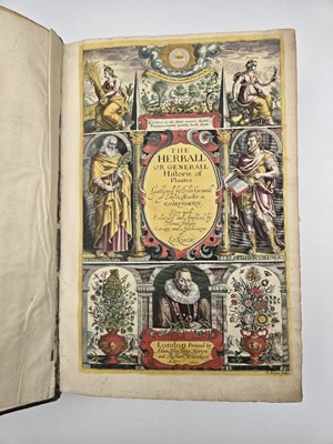 Lot Gerard. The Herball Historie of Plantes, 1633. Contemporary colour.