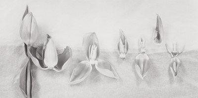 Lot 137 - John Blakemore (1936-2025)