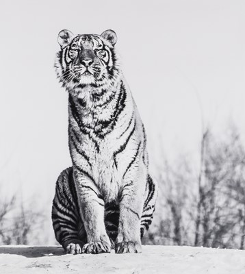 Lot 198 - David Yarrow (b.1966)