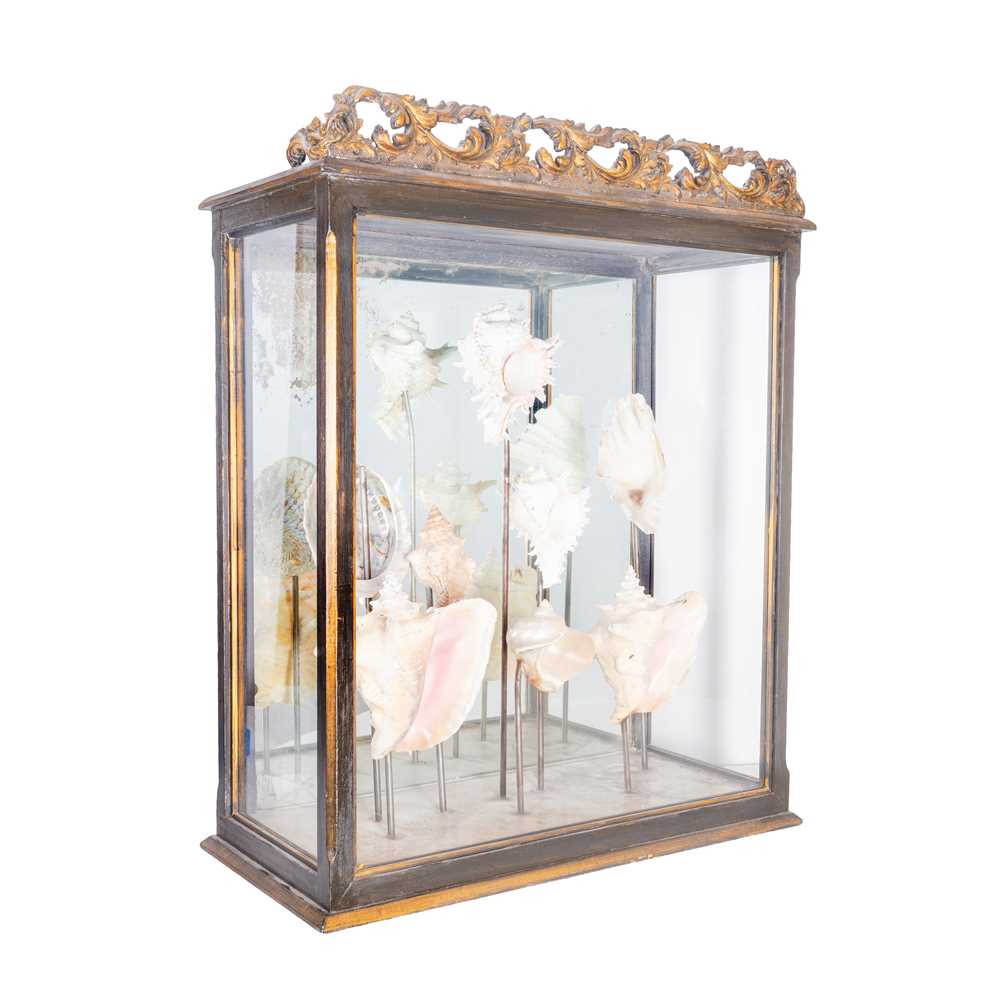 Lot 219 - A late 19th Century display case with