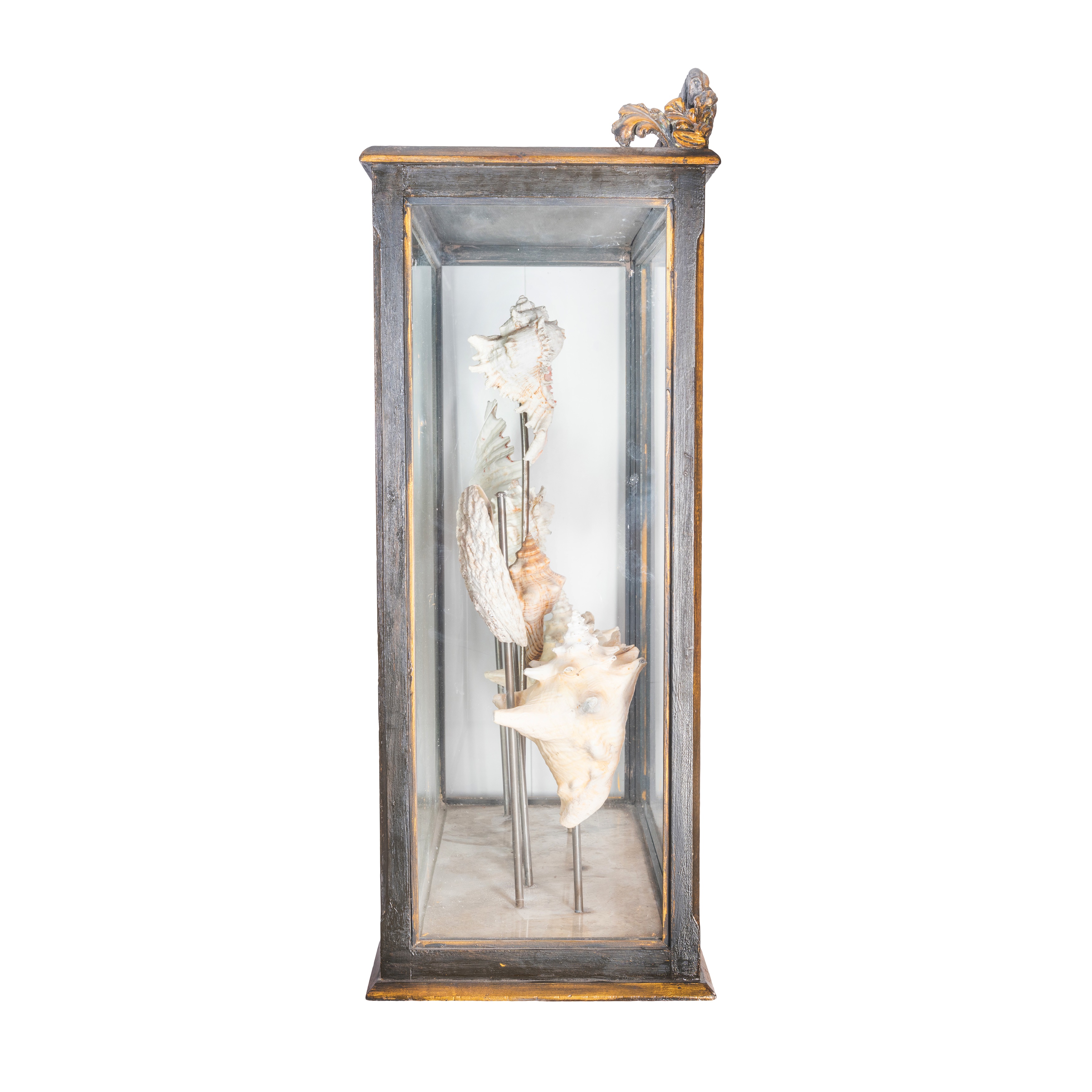 Lot 219 - A late 19th Century display case with