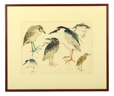 Lot 592 - 20th century European School Water birds...
