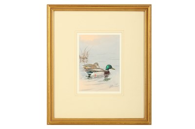 Lot 34 - Harrison (J. C.) Pair of Ducks on a Pond,...
