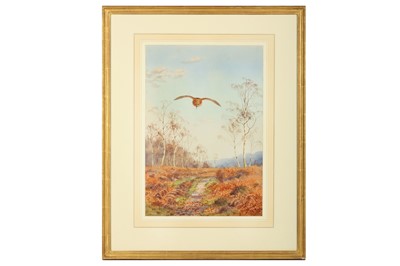 Lot 52 - Harrison (J. C.) Woodcock in Flight, original...