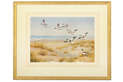 Lot 40 - Harrison (J. C.) Shelducks Taking Off,...