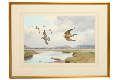 Lot 31 - Harrison (J. C.) Merlin & Golden Plover,...