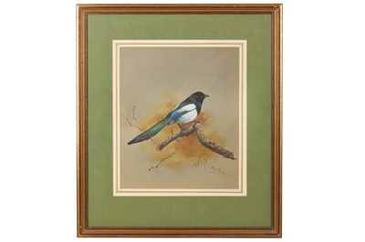 Lot 79 - Rickman (Philip) Magpie, on grey paper, signed,...