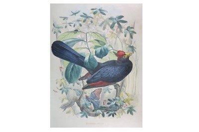 Lot 597 - Schlegel (Hermann) & Westermann (Gerardus...