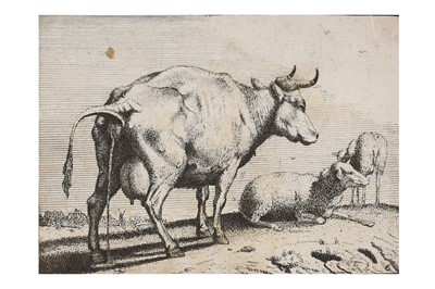 Lot 486 - Sprengel (Christian Konrad) All 25 engraved...